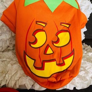 Pet pumpkin costume 🎃